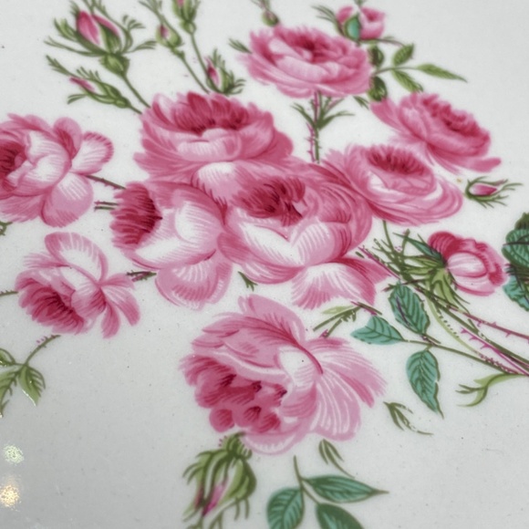 James Kent dinner plate red band, hand painted roses, gold details VTG 50's UK - Picture 9 of 10